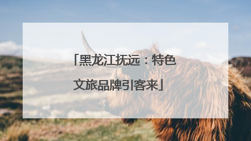 黑龙江抚远：特色文旅品牌引客来