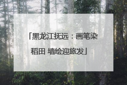 黑龙江抚远：画笔染稻田 墙绘迎旅发