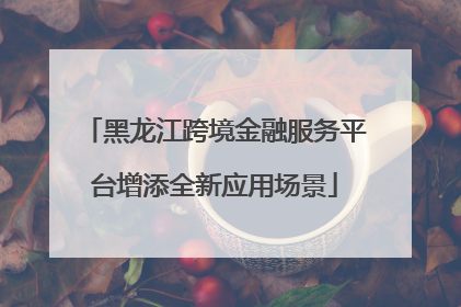 黑龙江跨境金融服务平台增添全新应用场景