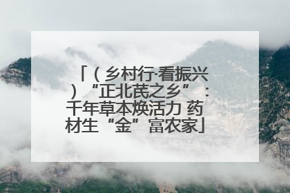 （乡村行·看振兴）“正北芪之乡”：千年草本焕活力 药材生“金”富农家