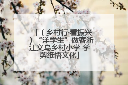 （乡村行·看振兴）“洋学生”做客浙江义乌乡村小学 学剪纸悟文化