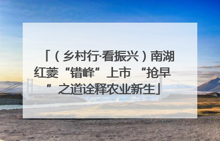 （乡村行·看振兴）南湖红菱“错峰”上市 “抢早”之道诠释农业新生