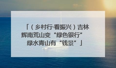 （乡村行·看振兴）吉林辉南荒山变“绿色银行” 绿水青山有“钱景”