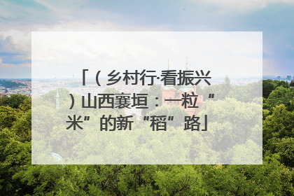 （乡村行·看振兴）山西襄垣：一粒“米”的新“稻”路