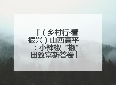（乡村行·看振兴）山西高平：小辣椒“椒”出致富新答卷