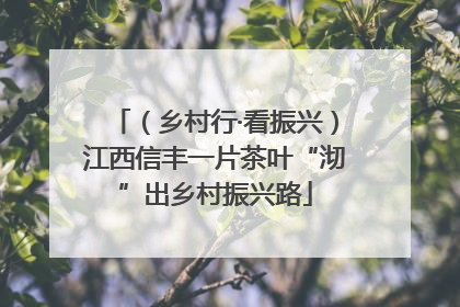 （乡村行·看振兴）江西信丰一片茶叶“沏”出乡村振兴路