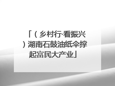 （乡村行·看振兴）湖南石鼓油纸伞撑起富民大产业