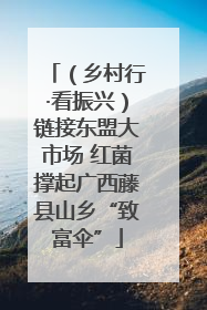 （乡村行·看振兴）链接东盟大市场 红菌撑起广西藤县山乡“致富伞”