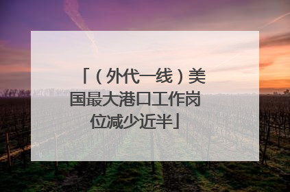 （外代一线）美国最大港口工作岗位减少近半