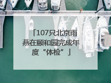107只北京雨燕在颐和园完成年度“体检”