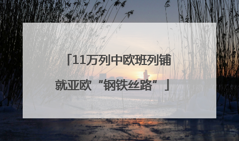 11万列中欧班列铺就亚欧“钢铁丝路”