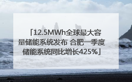 12.5MWh全球最大容量储能系统发布 合肥一季度储能系统同比增长425%