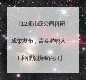 12项市属公园科研成果发布，青头潜鸭人工种群规模破百只