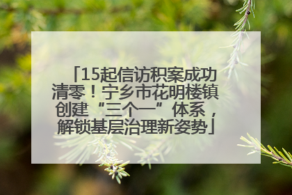 15起信访积案成功清零！宁乡市花明楼镇创建“三个一”体系，解锁基层治理新姿势
