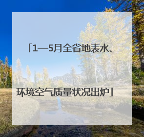 1—5月全省地表水、环境空气质量状况出炉