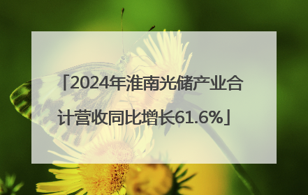 2024年淮南光储产业合计营收同比增长61.6%