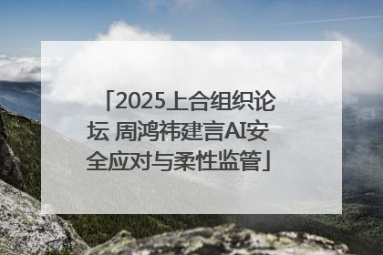 2025上合组织论坛 周鸿祎建言AI安全应对与柔性监管