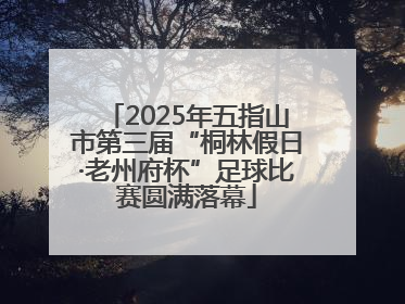 2025年五指山市第三届“桐林假日·老州府杯”足球比赛圆满落幕