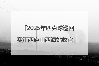 2025年匹克球巡回赛江西庐山西海站收官
