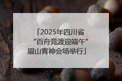 2025年四川省“百舟竞渡迎端午”眉山青神会场举行