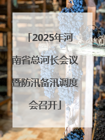 2025年河南省总河长会议暨防汛备汛调度会召开