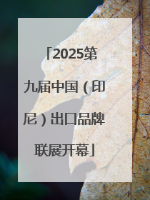 2025第九届中国（印尼）出口品牌联展开幕