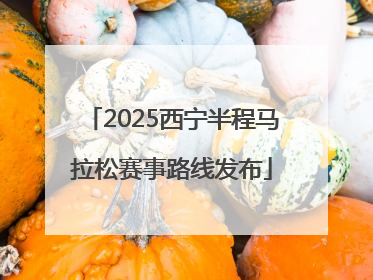 2025西宁半程马拉松赛事路线发布