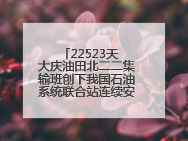 22523天 大庆油田北二二集输班创下我国石油系统联合站连续安全生产之最