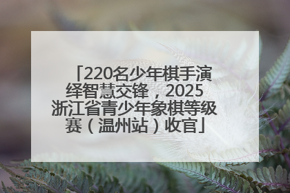 220名少年棋手演绎智慧交锋，2025浙江省青少年象棋等级赛（温州站）收官