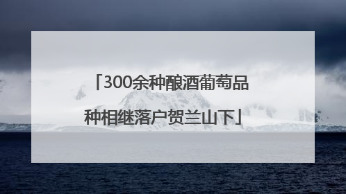 300余种酿酒葡萄品种相继落户贺兰山下