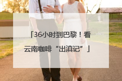 36小时到巴黎！看云南咖啡“出滇记”