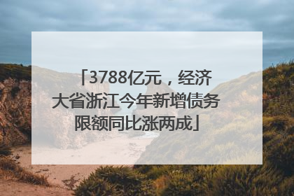 3788亿元，经济大省浙江今年新增债务限额同比涨两成