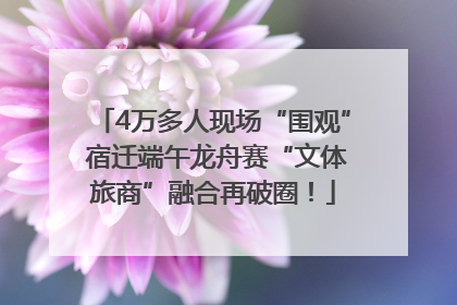 4万多人现场“围观” 宿迁端午龙舟赛“文体旅商”融合再破圈！
