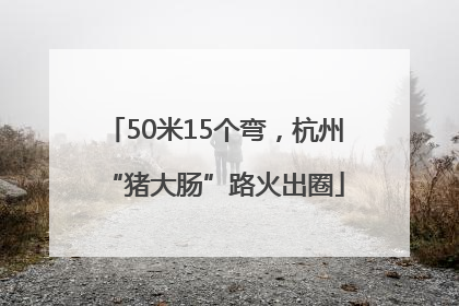 50米15个弯，杭州“猪大肠”路火出圈