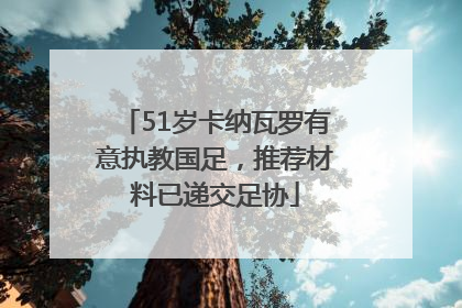 51岁卡纳瓦罗有意执教国足，推荐材料已递交足协