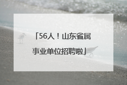 56人！山东省属事业单位招聘啦