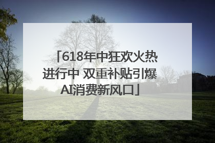 618年中狂欢火热进行中 双重补贴引爆AI消费新风口