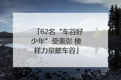 62名“车谷好少年”受表彰 榜样力量耀车谷