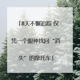 8天不懈追踪 仅凭一个眼神找回“消失”的摩托车