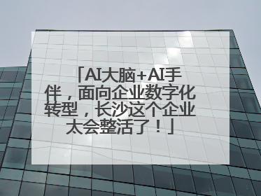 AI大脑+AI手伴，面向企业数字化转型，长沙这个企业太会整活了！
