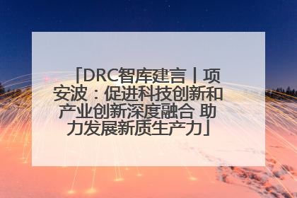 DRC智库建言丨项安波：促进科技创新和产业创新深度融合 助力发展新质生产力